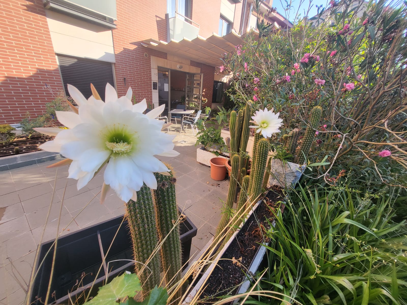 terraza-2